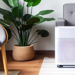 air purifier in living room