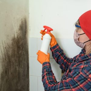 woman in mask spraying mold on wall